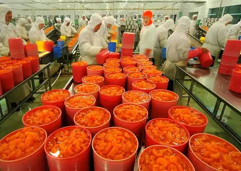 農業的五座“金礦” 抓住初級農產品機遇，實現創富增收