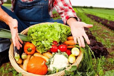 初級農產品 定義、監管與經營許可解讀